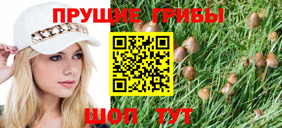 Галлюциногенные грибы Cubensis  Вход с VPN  Тайшет 